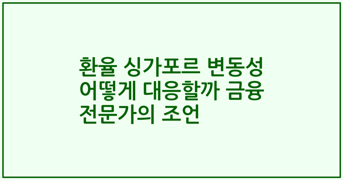 환율 싱가포르 변동성 어떻게 대응할까 금융 전문가의 조언