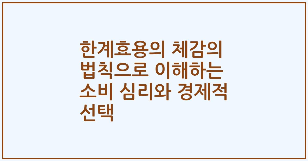 한계효용의 체감의 법칙으로 이해하는 소비 심리와 경제적 선택