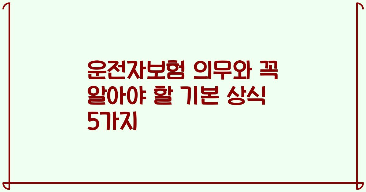 운전자보험 의무와 꼭 알아야 할 기본 상식 5가지