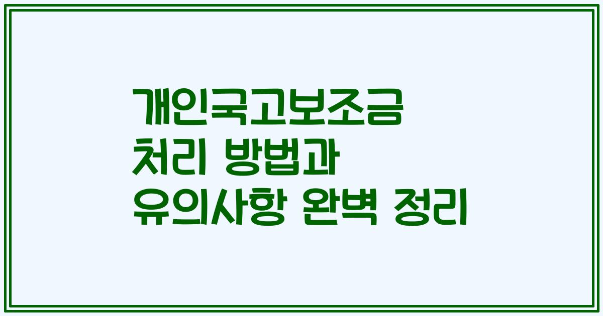 개인국고보조금 처리 방법과 유의사항 완벽 정리